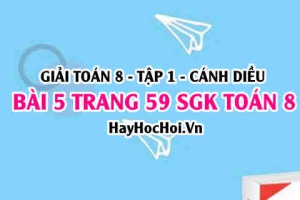 Giải bài 5 trang 59 Toán 8 Tập 1 SGK Cánh Diều